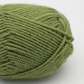 Fb. 051 Green