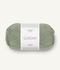 8521 dusty light green