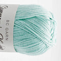 Fb. 26 Mint_