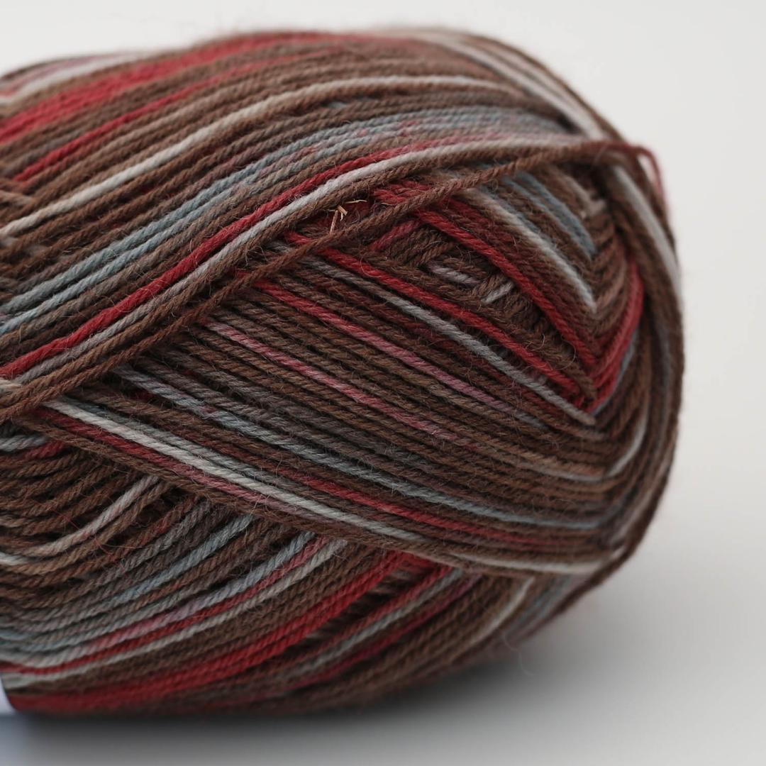 Arne & Carlos - Socks and More Collection - Ideen in Strick