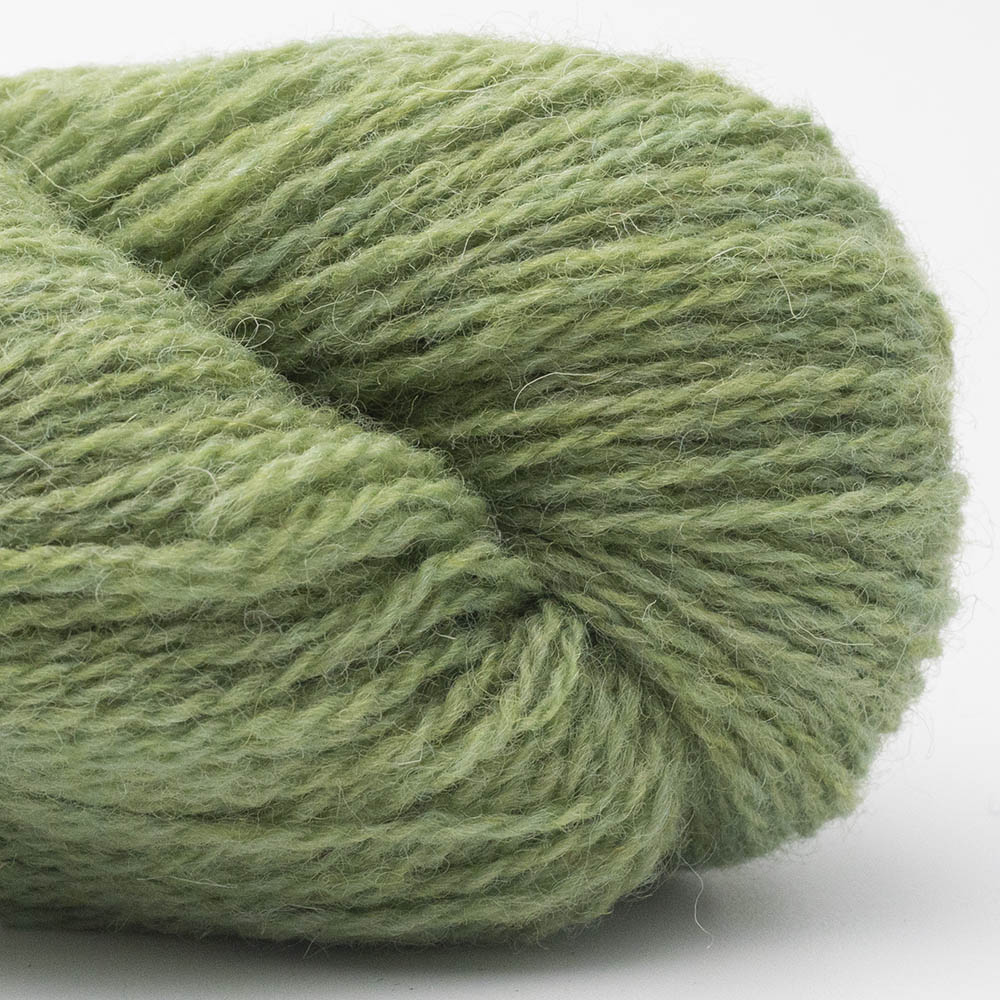 BC-Garn Bio Shetland GOTS BC