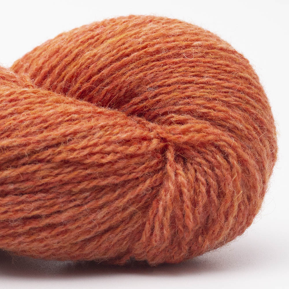 BC-Garn Bio Shetland GOTS BC