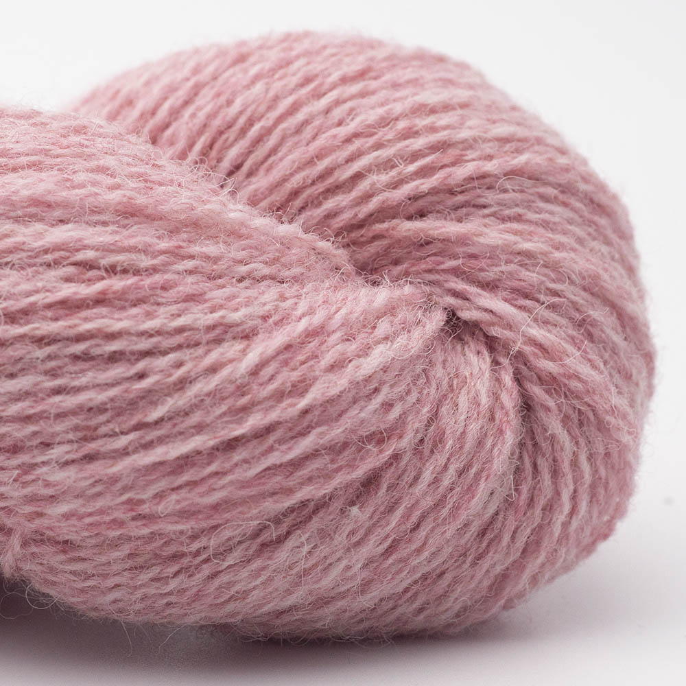 BC-Garn Bio Shetland GOTS BC