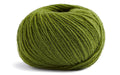 Fb. 66 Kiwi